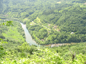 2009-05-17-001-101