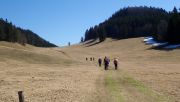 P3312788-Large