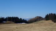 P3312789-Large