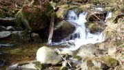 P2242516-Large